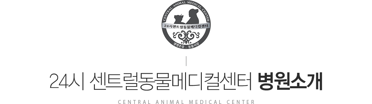 24시센트럴동물메디컬센터 병원소개