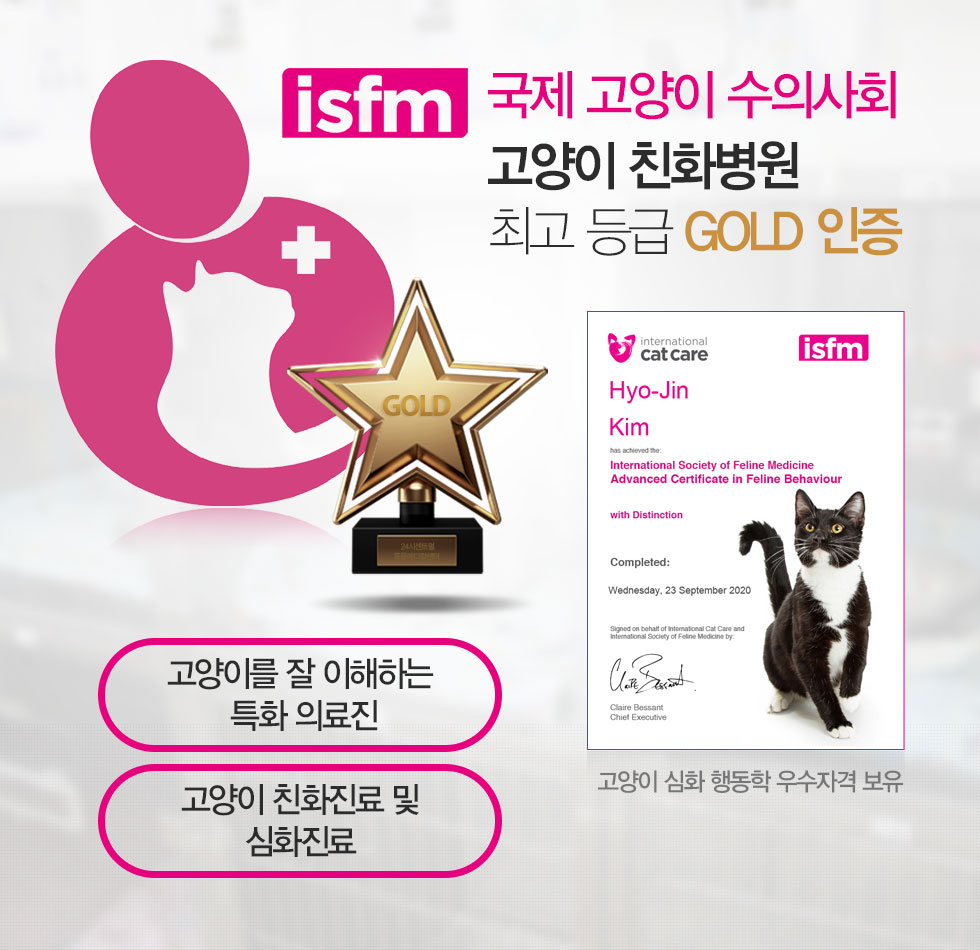 국제 고양이 수의사회 고양이 친화병원 최고 등급 GOLD 인증받은 24시센트럴동물메디컬센터